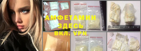 прущие грибы Белокуриха