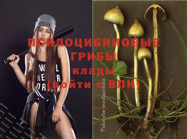 spice Белоозёрский