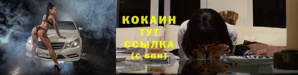 прущие грибы Белокуриха