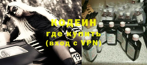 прущие грибы Белокуриха