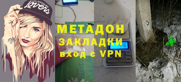 прущие грибы Белокуриха