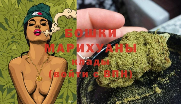 прущие грибы Белокуриха