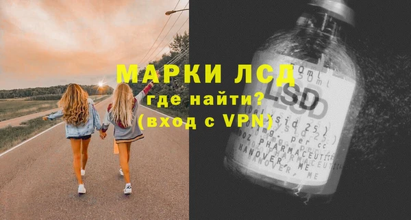прущие грибы Белокуриха