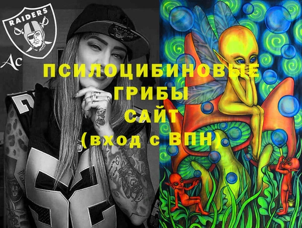 прущие грибы Белокуриха
