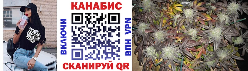 Канабис гибрид Елизаветинская